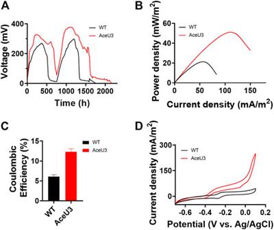 Construction of an Acetate Metabolic Pathway to Enhance Electron Generation of Engineered Shewanella oneidensis